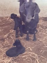 팜모닝 자유주제·자유게시판 게시글 이미지