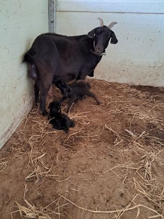 김석현님의 자유주제 · 자유게시판 작성글 사진