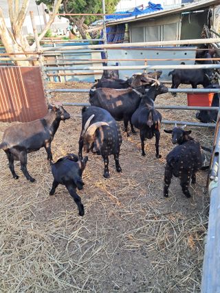 김석현님의 자유주제 · 자유게시판 작성글 사진