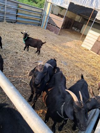 김석현님의 자유주제 · 자유게시판 작성글 사진