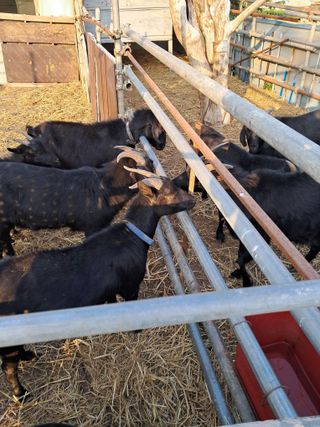 김석현님의 자유주제 · 자유게시판 작성글 사진