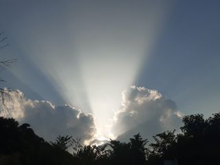 새리님의 자유주제 · 자유게시판 작성글 사진