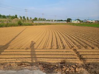 희찬(김동필)님의 장마 대비 어떻게 하셨나요? · 참여 작성글 사진