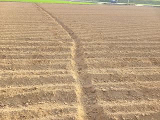 희찬(김동필)님의 장마 대비 어떻게 하셨나요? · 참여 작성글 사진