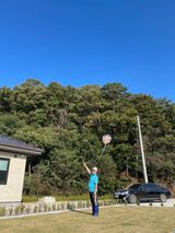 팜모닝 기타작물·병해충상담 게시글 이미지