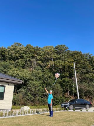 왕큰별님의 기타작물 · 병해충상담 작성글 사진