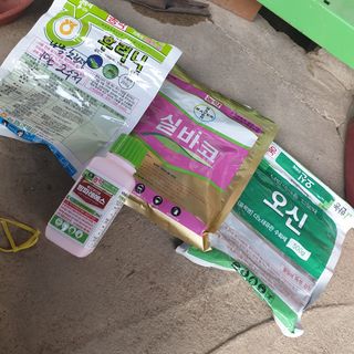 전명우님의 고추 · 영농일지 작성글 사진