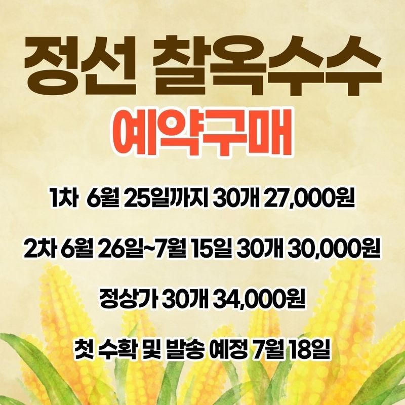 정선농가 달성마켓님의 장터 판매 상품 [직접 키운 질경이나물(차전자) 판매해봅니다] 첨부 사진