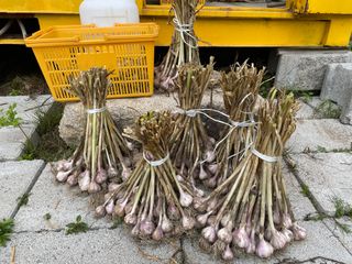 도곡님의 기타작물 · 자유게시판 작성글 사진