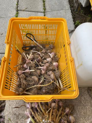 도곡님의 기타작물 · 자유게시판 작성글 사진