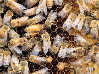 여우내 이순홍님의 기타작물 · 자유게시판 작성글 사진