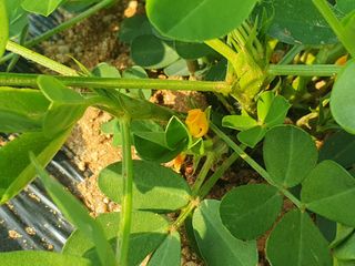 전명선님의 장마 대비 어떻게 하셨나요? · 참여 작성글 사진