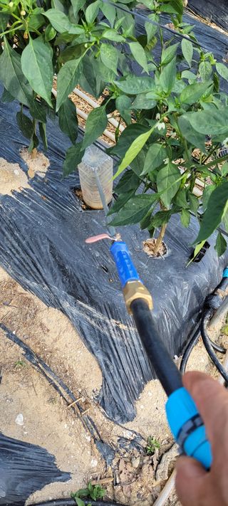 김중언님의 농자재정보 · 자유게시판 작성글 사진