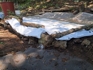 안창영님의 기타작물 · 영농일지 작성글 사진