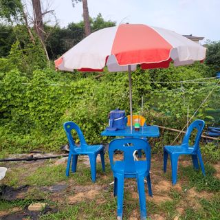 동호동 윤상임님의 자유주제 · 자유게시판 작성글 사진