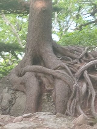 박창식님의 장마 대비 어떻게 하셨나요? · 참여 작성글 사진