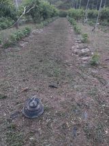 팜모닝 자유주제·자유게시판 게시글 이미지