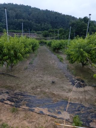 ahnda님의 자유주제 · 자유게시판 작성글 사진
