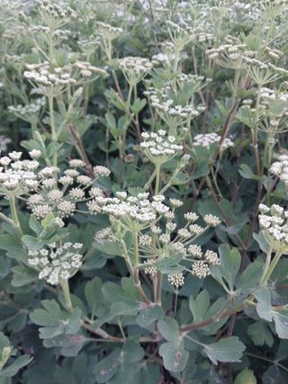 고두윤님의 기타작물 · 자유게시판 작성글 사진