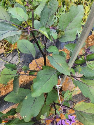 전남 해남 쥴리아님의 자유주제 · 자유게시판 작성글 사진