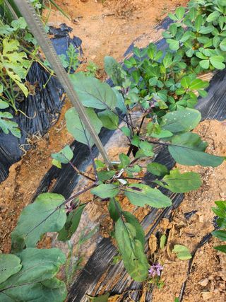 전남 해남 쥴리아님의 자유주제 · 자유게시판 작성글 사진