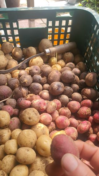 황의성님의 자유주제 · 사진전 작성글 사진