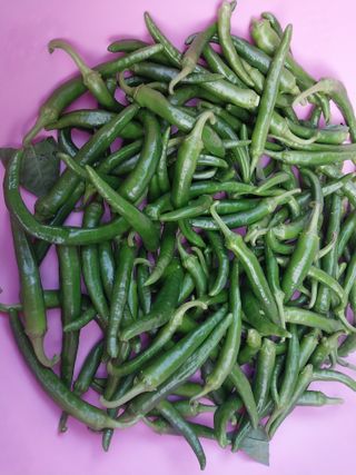 금동이네님의 자두 · 자유게시판 작성글 사진