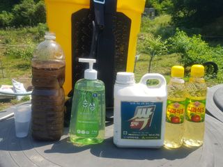 당근한개님의 기타작물 · 자유게시판 작성글 사진