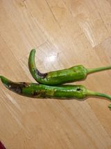 팜모닝 고추·병해충상담 게시글 이미지