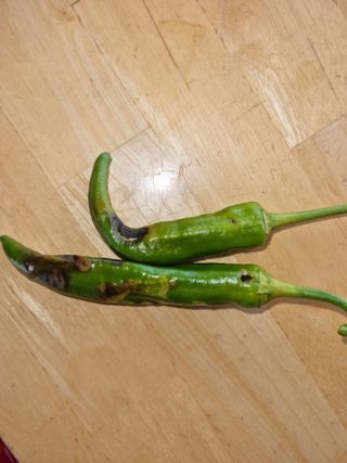 힐링농장님의 고추 · 병해충상담 작성글 사진