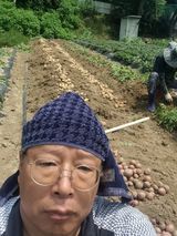 팜모닝 감자·자유게시판 게시글 이미지