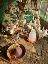 팜모닝 자유주제·자유게시판 게시글 이미지