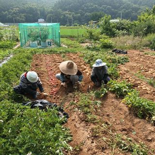 이강온님의 장마 대비 어떻게 하셨나요? · 참여 작성글 사진