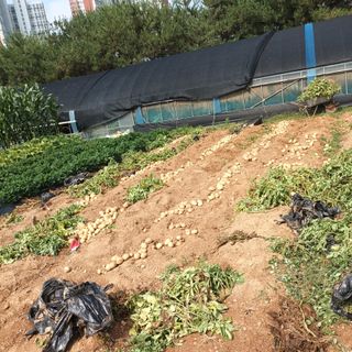 이강온님의 장마 대비 어떻게 하셨나요? · 참여 작성글 사진