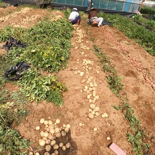 이강온님의 장마 대비 어떻게 하셨나요? · 참여 작성글 사진