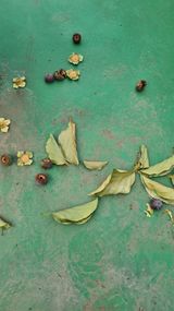 팜모닝 감·병해충상담 게시글 이미지