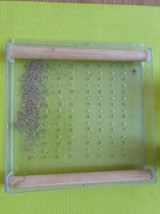 심기정님의 들깨 · 자유게시판 작성글 사진