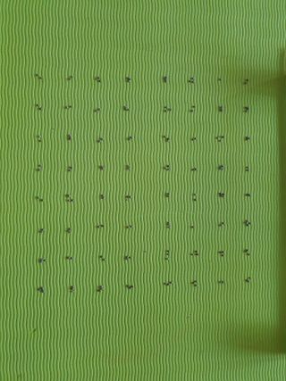 심기정님의 들깨 · 자유게시판 작성글 사진