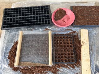 심기정님의 들깨 · 자유게시판 작성글 사진