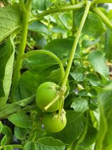 팜모닝 자유주제·자유게시판 게시글 이미지