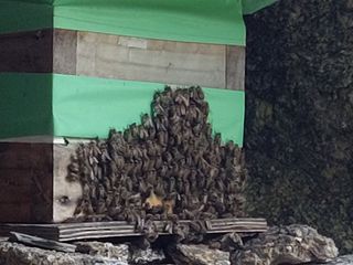 강미화님의 기타작물 · 자유게시판 작성글 사진