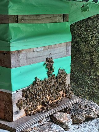 강미화님의 기타작물 · 자유게시판 작성글 사진