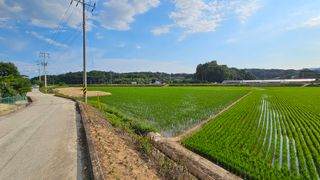 황영출님의 콩 · 영농일지 작성글 사진