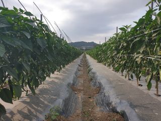 최한철 정읍시님의 장마 대비 어떻게 하셨나요? · 참여 작성글 사진