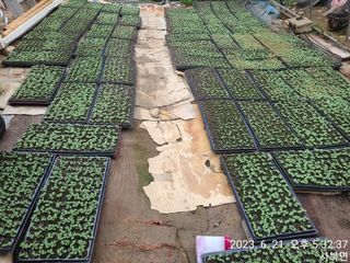 윤인석님의 장마 대비 어떻게 하셨나요? · 참여 작성글 사진