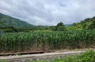 윤인석님의 장마 대비 어떻게 하셨나요? · 참여 작성글 사진