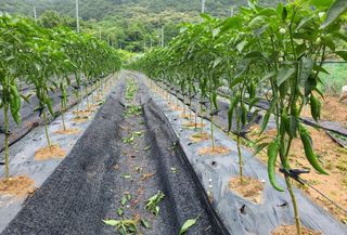 윤인석님의 장마 대비 어떻게 하셨나요? · 참여 작성글 사진