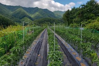 윤인석님의 장마 대비 어떻게 하셨나요? · 참여 작성글 사진
