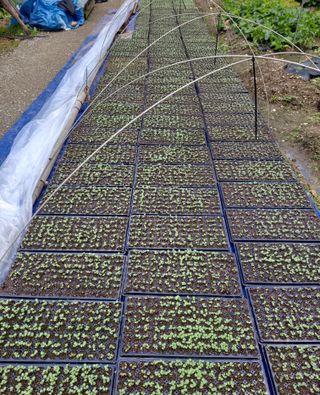 윤인석님의 장마 대비 어떻게 하셨나요? · 참여 작성글 사진