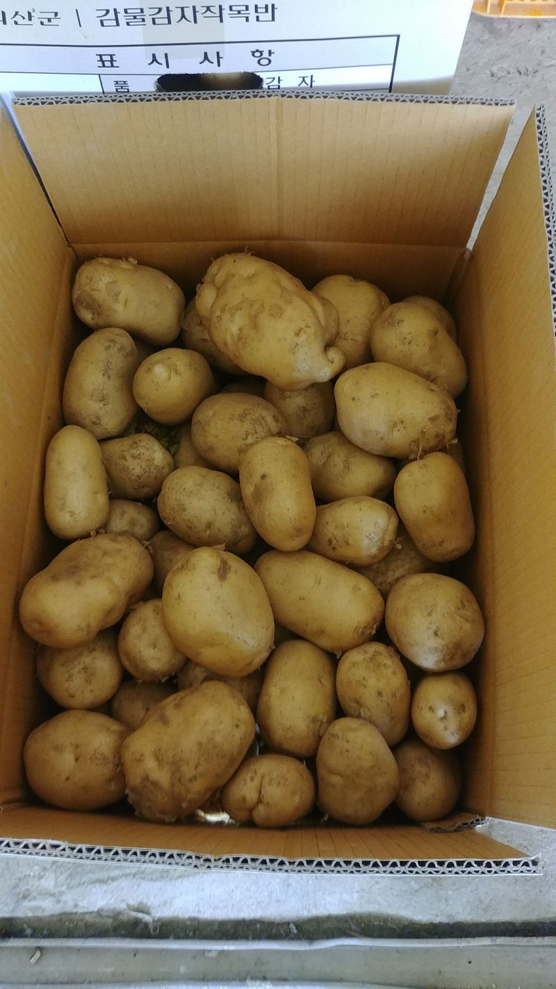 장터 상품 [수미감자 10kg(2024년 상품 준비중입니다)] 썸네일